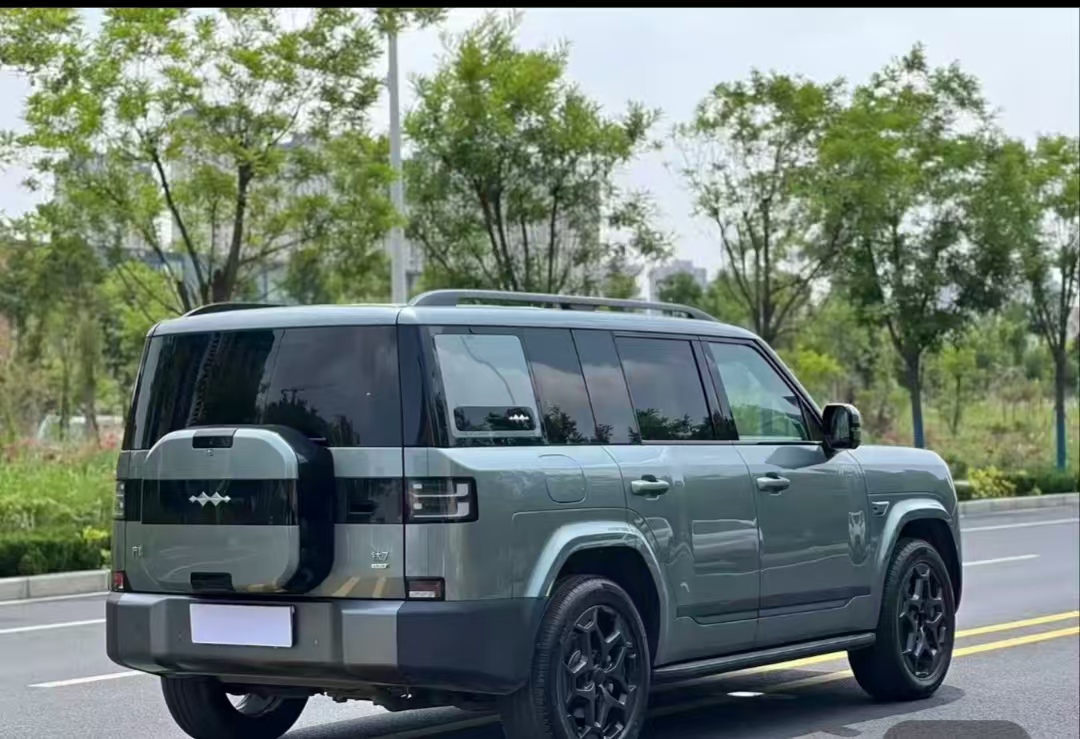 BYD Ti7 view 5