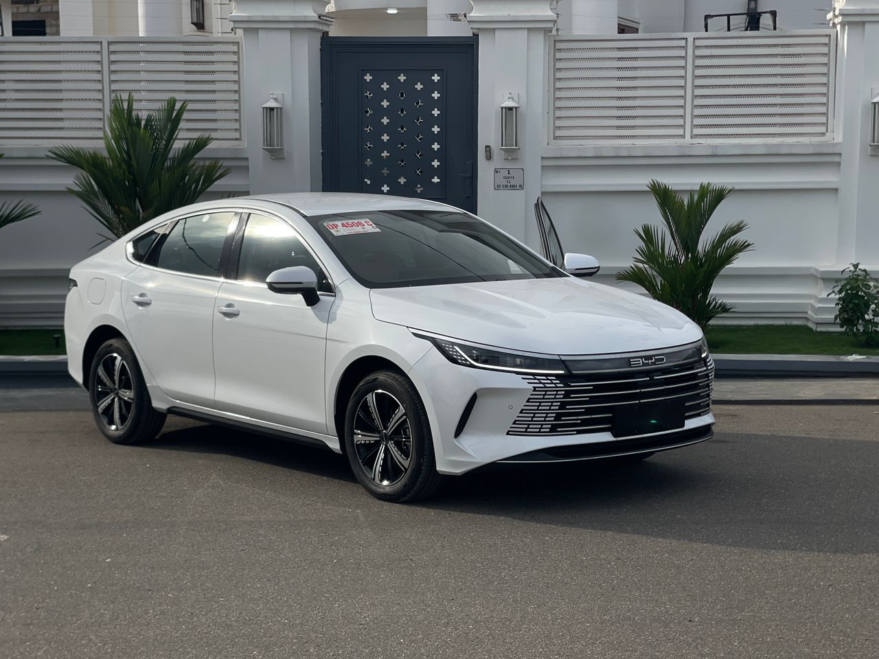 BYD King view 6